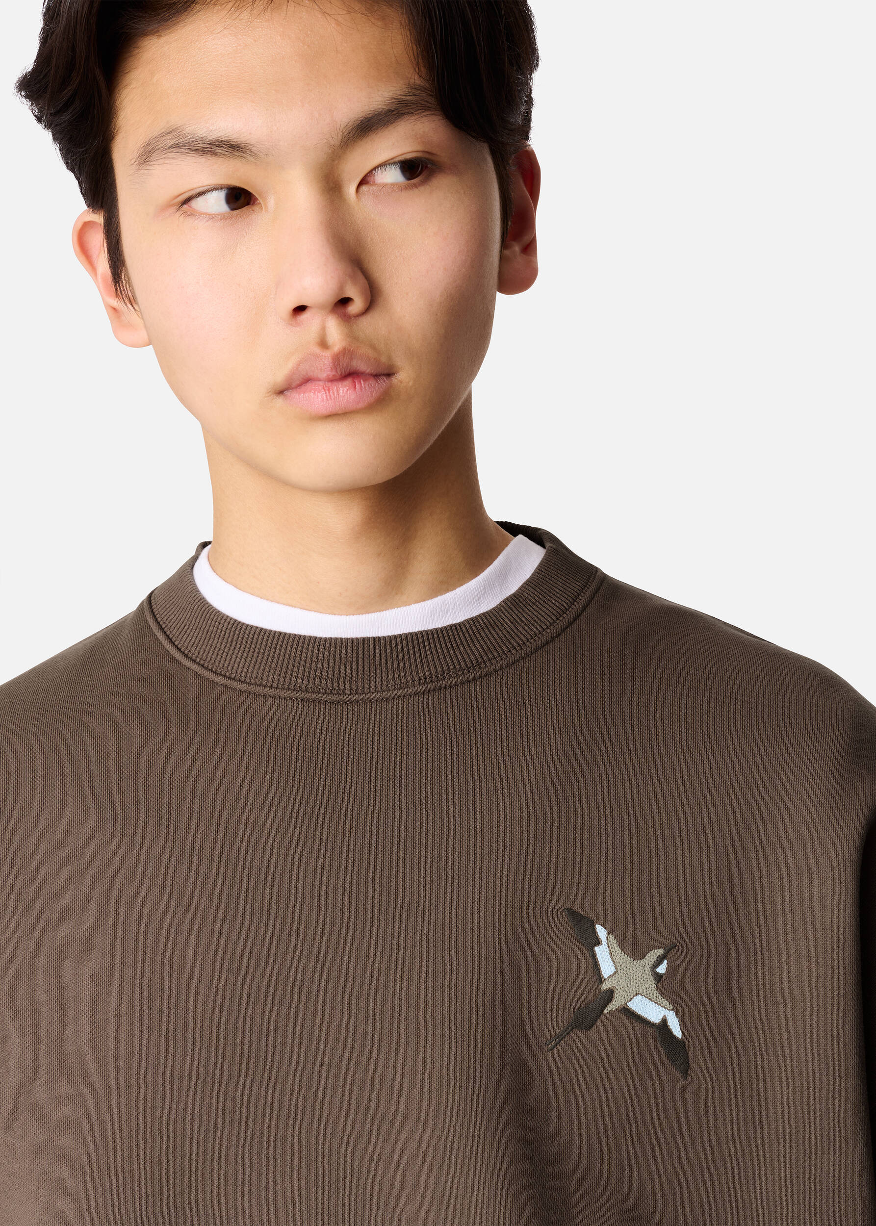 Micro Bee Bird Sweatshirt - Coffee Brown