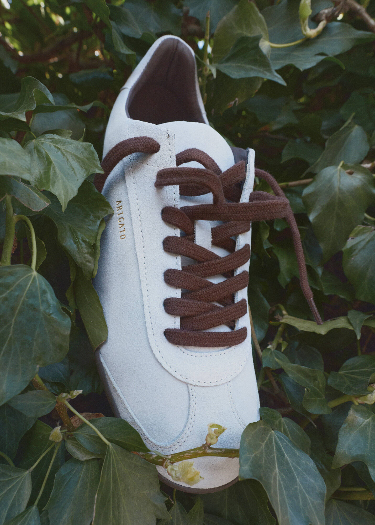 Zane Sneaker - Light Blue/Dark Brown